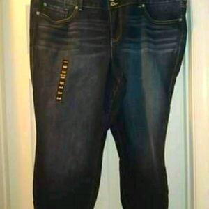 Torrid Jeggings Size 26R